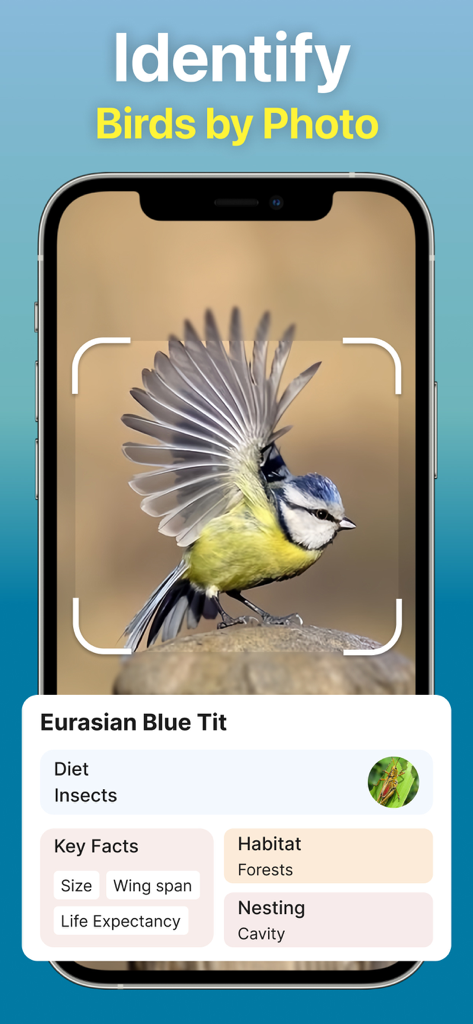Identify Anything AI Scanner - Interfaz de smartphone de la aplicación Identificar Cualquier Cosa IA mostrando los resultados de identificación de un pájaro para un Herrerillo común