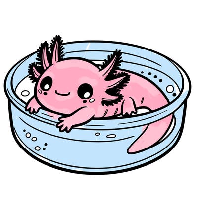 axolotl in a bowl