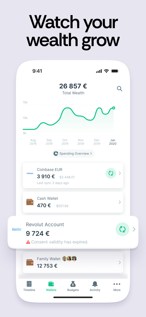 Expense & Budget App: Spendee - Spendee app interface showing wealth growth graph and multiple linked financial accounts