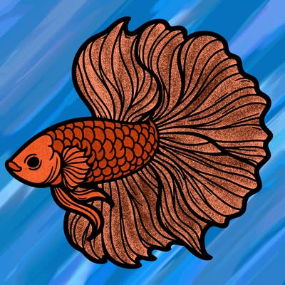 betta fish