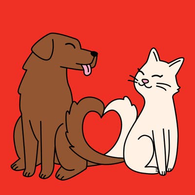 animals_22