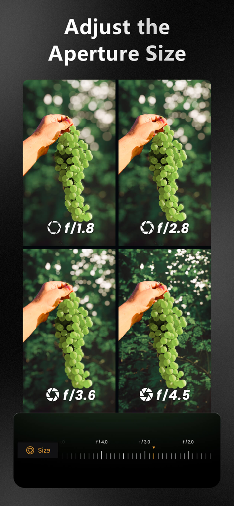A comparison of four photos showing different levels of background bokeh blur by adjusting the aperture from f1.8 to f4.5