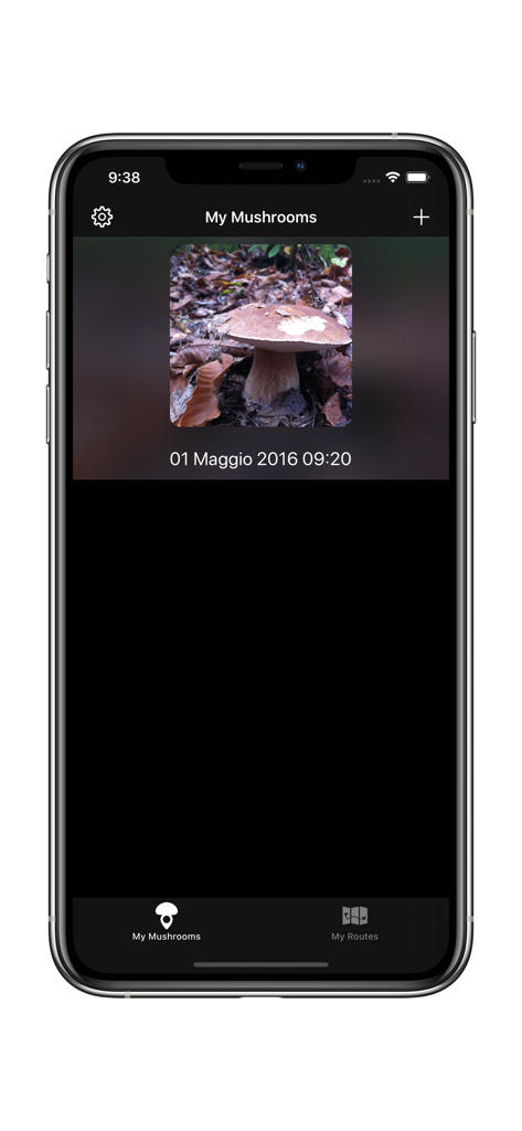 Track My Mushrooms - The My Mushrooms section of the app showing a saved mushroom entry with photo and date