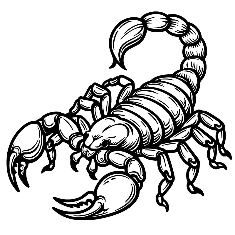 scorpion