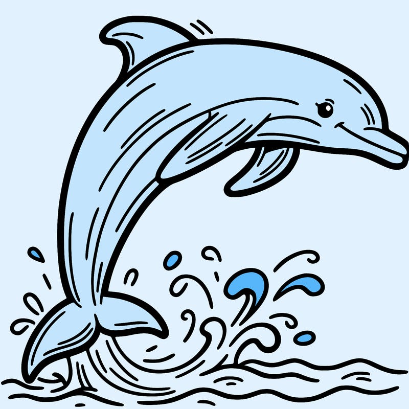 dolphin