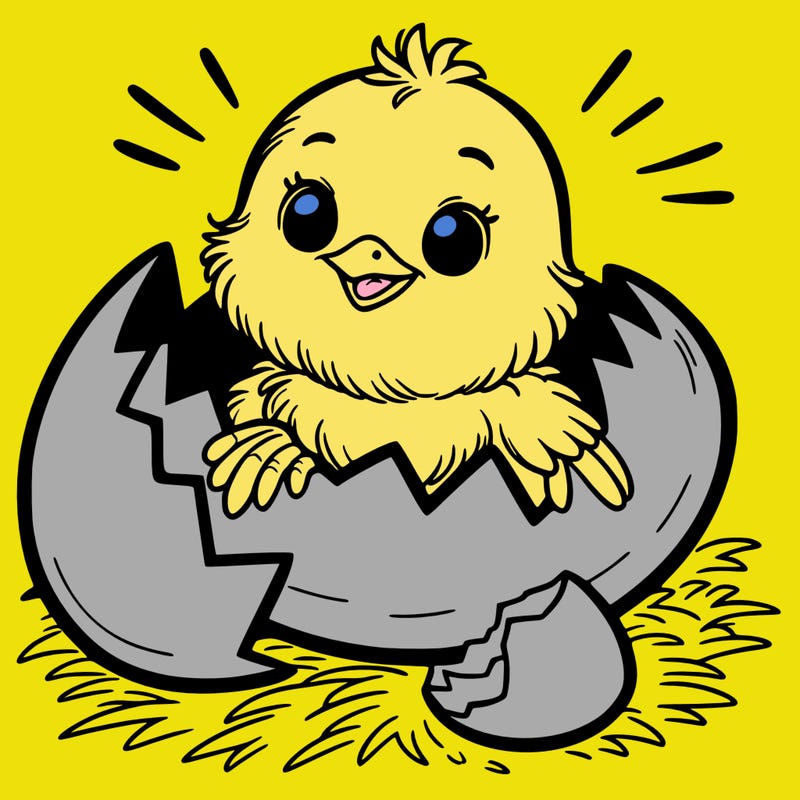 a chick hatching out of a egg