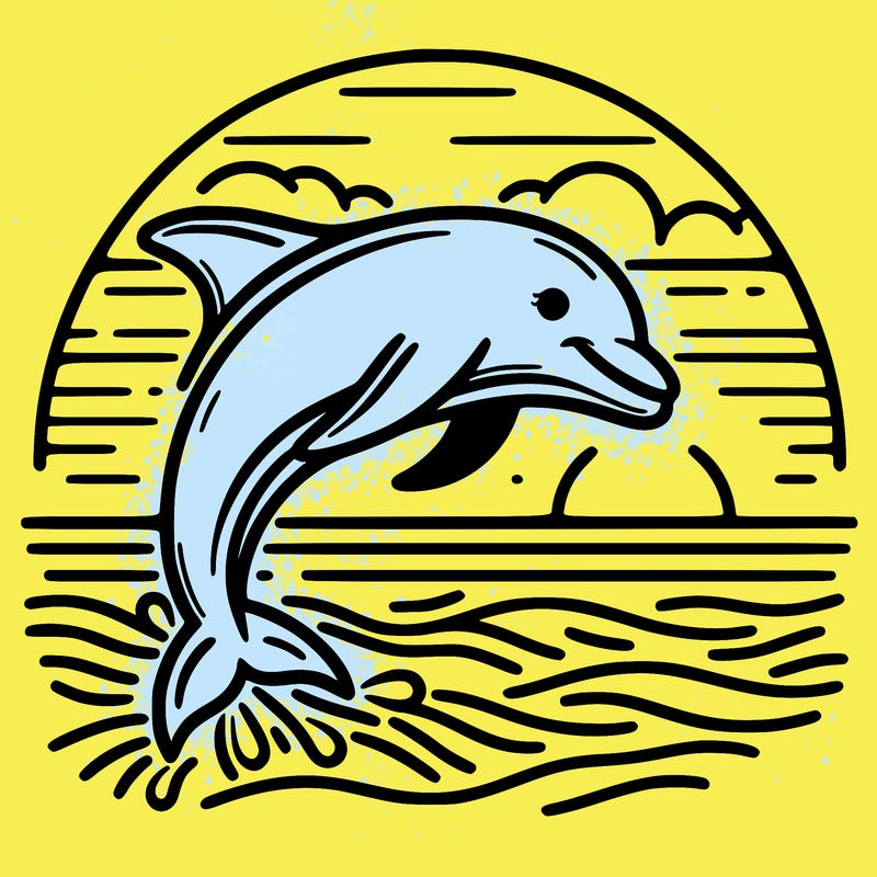 dolphin in a sunset