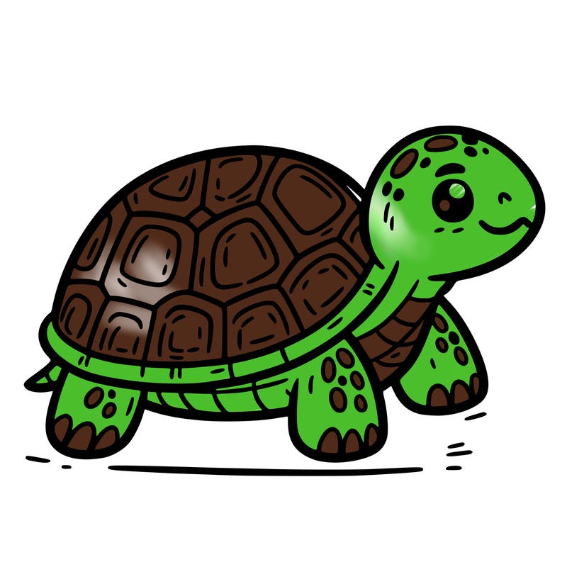 turtle