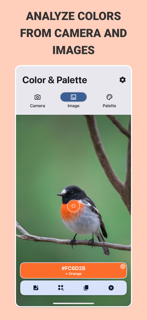 Screenshot of Color and Palettes app extracting the orange hex code from a bird image.