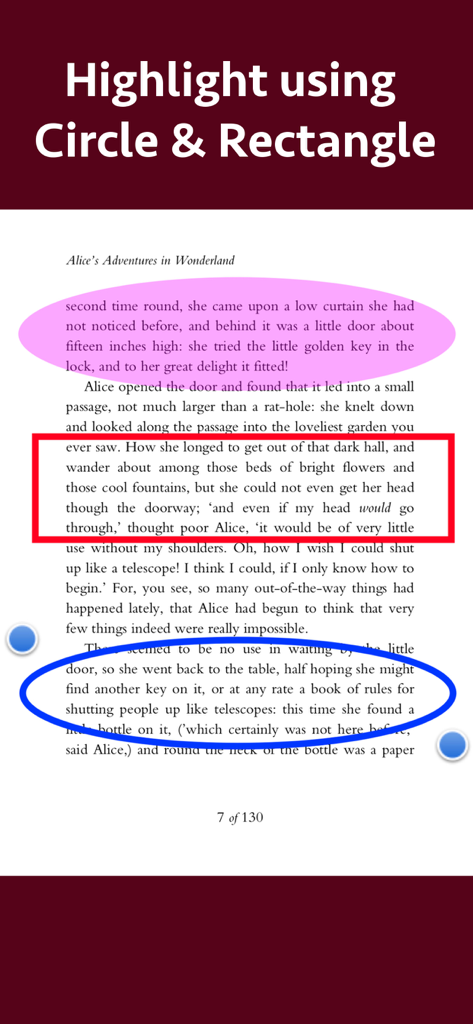 円と四角形の図形ツールを使用してテキストセクションをハイライトしたPDFドキュメント