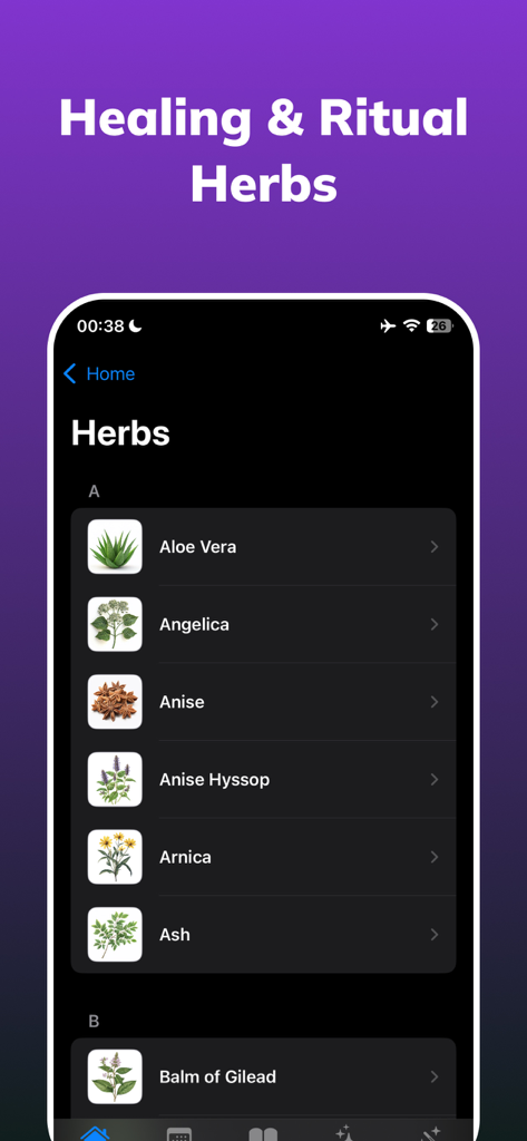 Wicca: Wiccan & Witchcraft - Wicca app interface showing a list of healing and ritual herbs including Aloe Vera and Anise