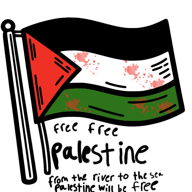 palestine flag