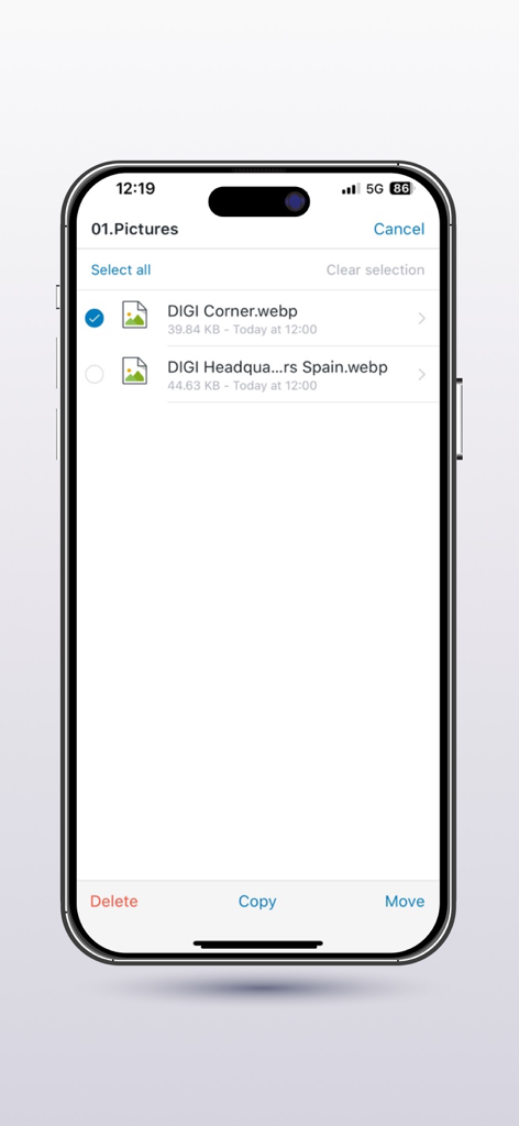 Digi Storage - Interface of Digi Storage app showing file management options for pictures on iPhone