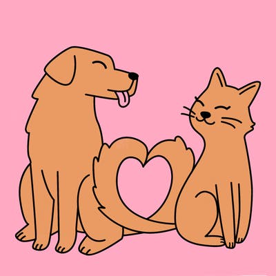 animals_22