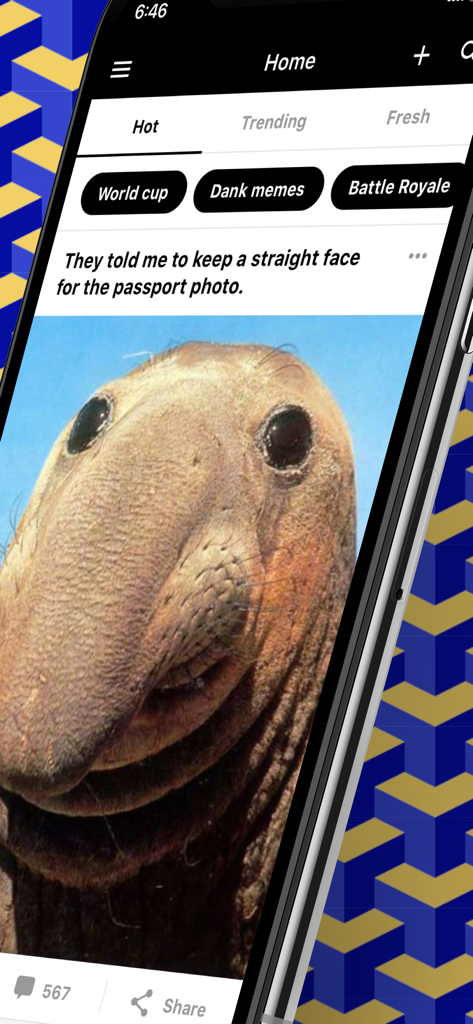 9GAG: Best LOL Pics & GIFs - 9GAGアプリのインターフェースのスクリーンショット。皮肉なキャプションが付いた面白いアザラシのミームが表示されています。