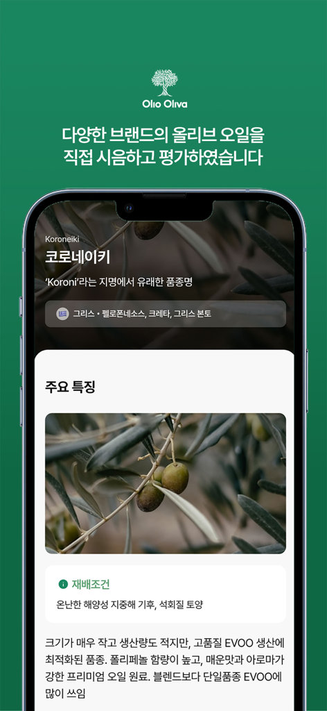 Olioolivaアプリ画面。コロネイキ種のオリーブに関する詳細情報、その起源と高品質な特性が含まれています。