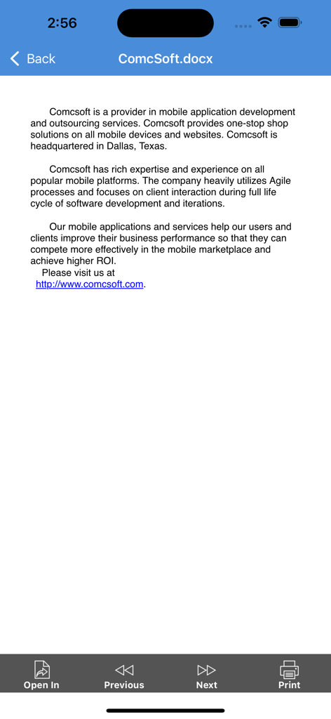 iZip app interface displaying a preview of a docx document with options to print and share