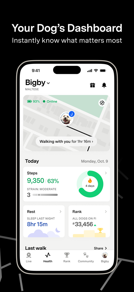 Dashboard dell'app Fi dog tracker che mostra il tracciamento GPS in tempo reale e le funzionalità di monitoraggio dell'attività