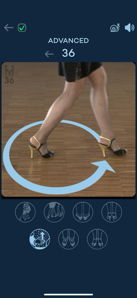 Advanced milonga dance lesson screen with point of view footwork video and circular movement indicator