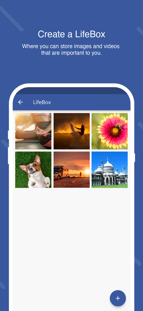 Stay Alive - Stay AliveアプリのLifeBox機能のスクリーンショット。個人的で元気づけられる写真のギャラリーが表示されています。
