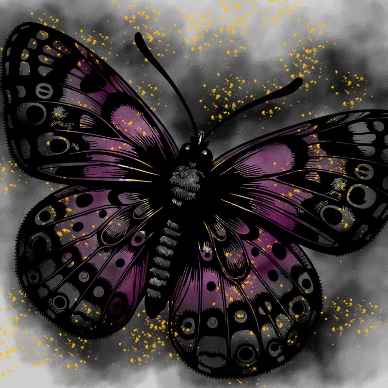 butterfly realistic