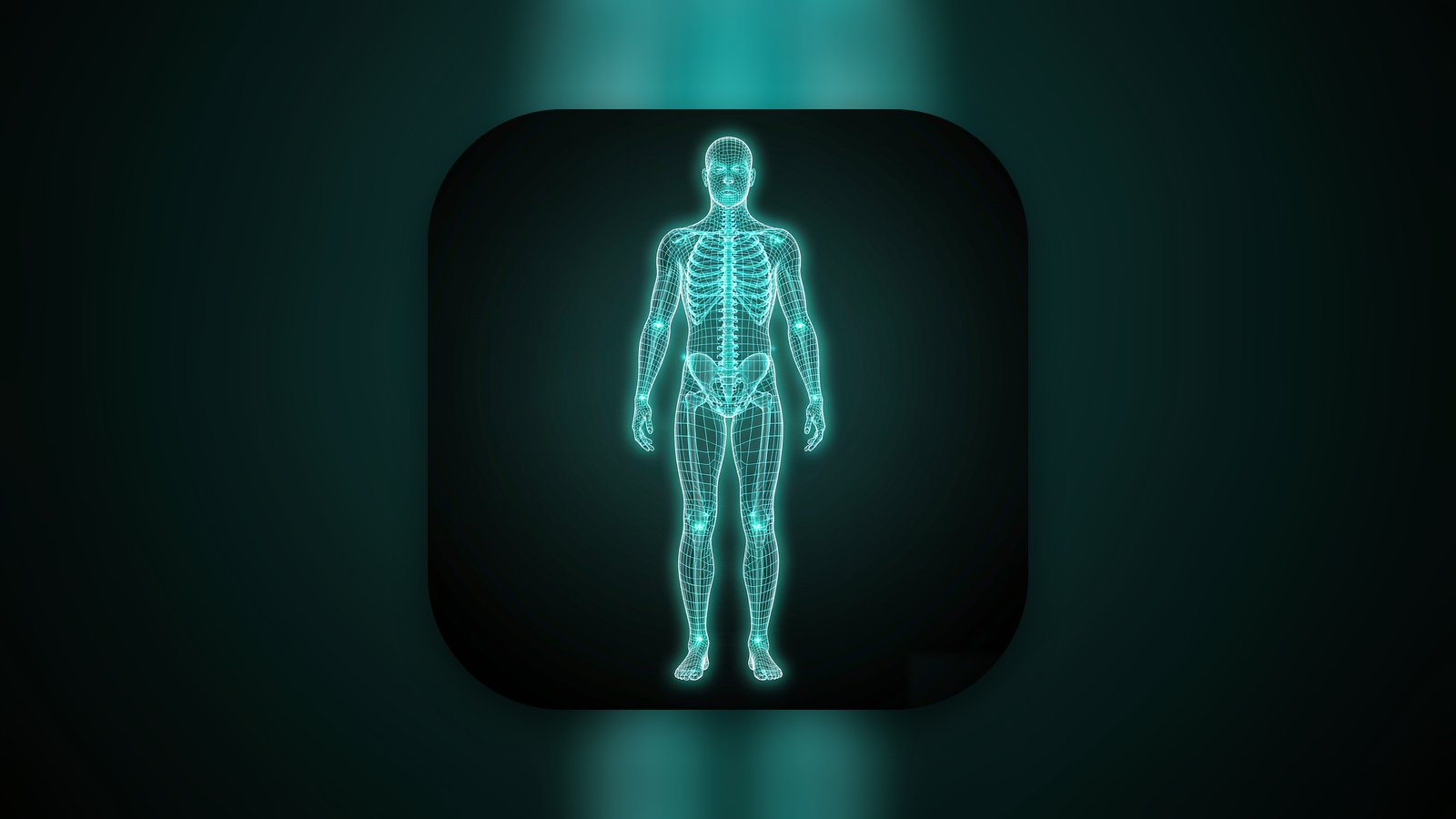 Human Atlas: 3D Human Anatomy - Reference App | MWM