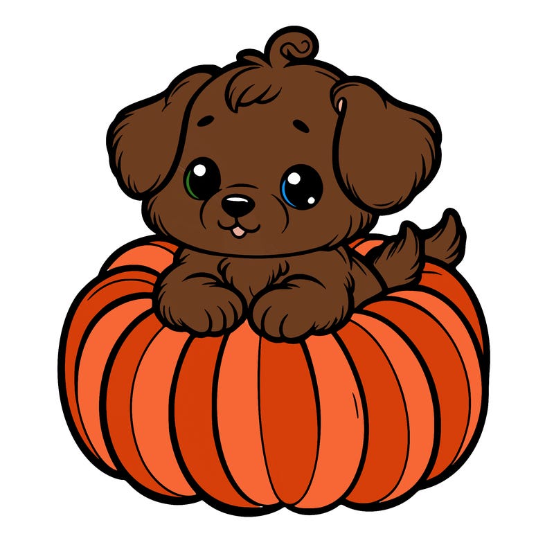 cute little puppy in a pumpkin