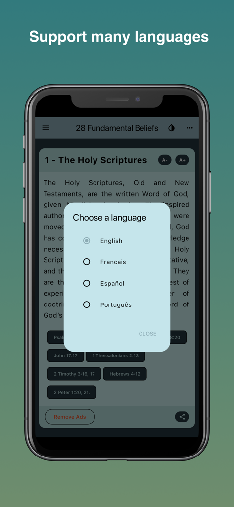 The 28 fundamental beliefs SDA - A smartphone displaying a language selection menu in the 28 Fundamental Beliefs SDA app.