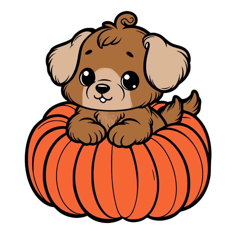 cute little puppy in a pumpkin