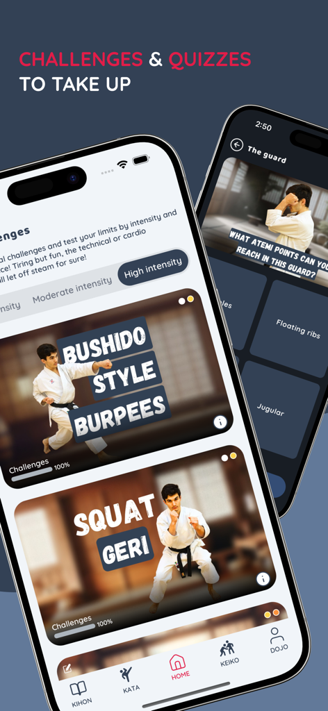 Karate Sensei, Video learning - Mobile interface of Karate Sensei app displaying physical training challenges and a technical karate quiz on strike points.
