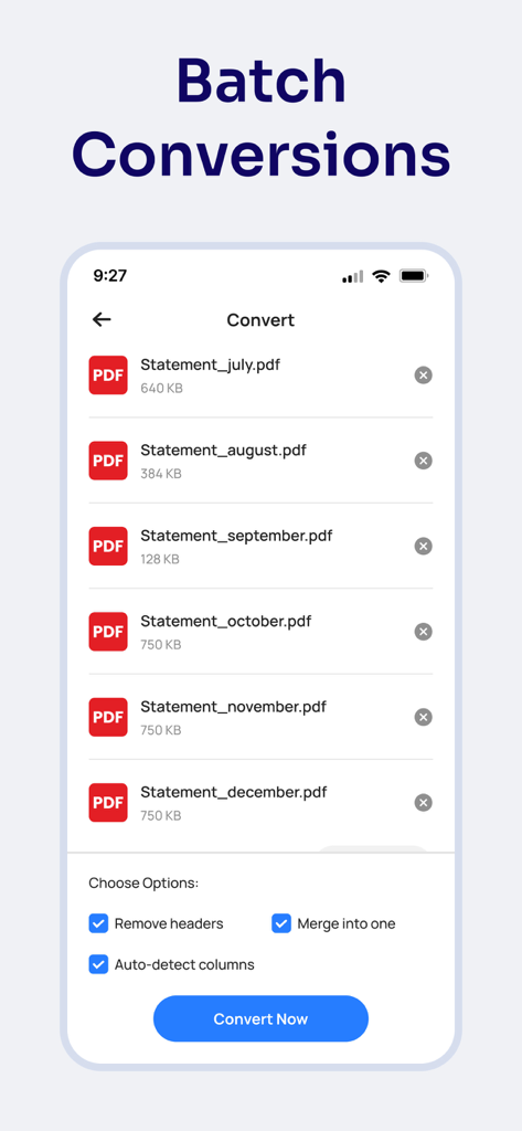 Excelへのバッチ変換のために複数のPDF明細が選択されている銀行明細コンバーターアプリのスクリーンショット。