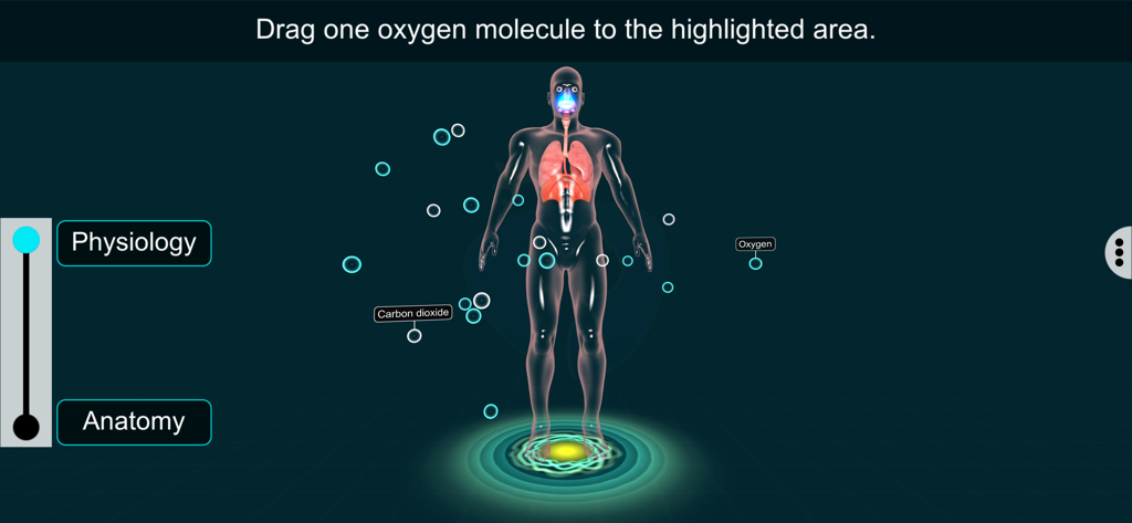 Respiratory Sys - EduTech Era - Visualización interactiva en 3D del sistema respiratorio humano que muestra pulmones y moléculas de oxígeno para la educación científica