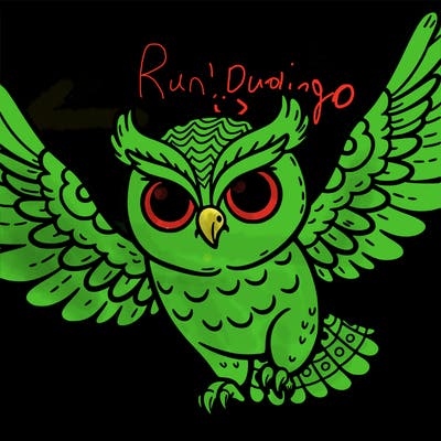 flying owl