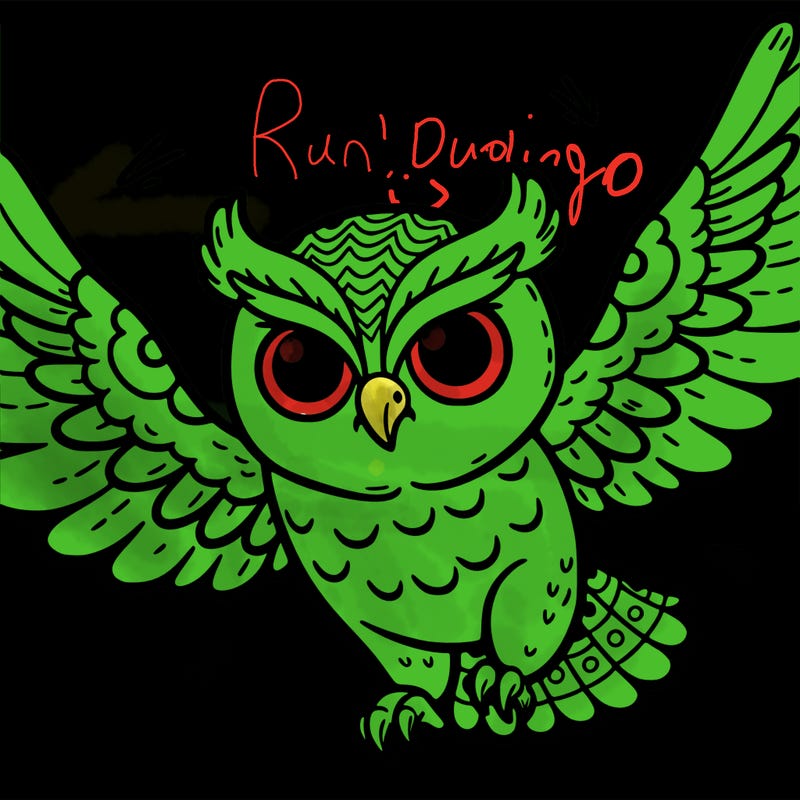 flying owl