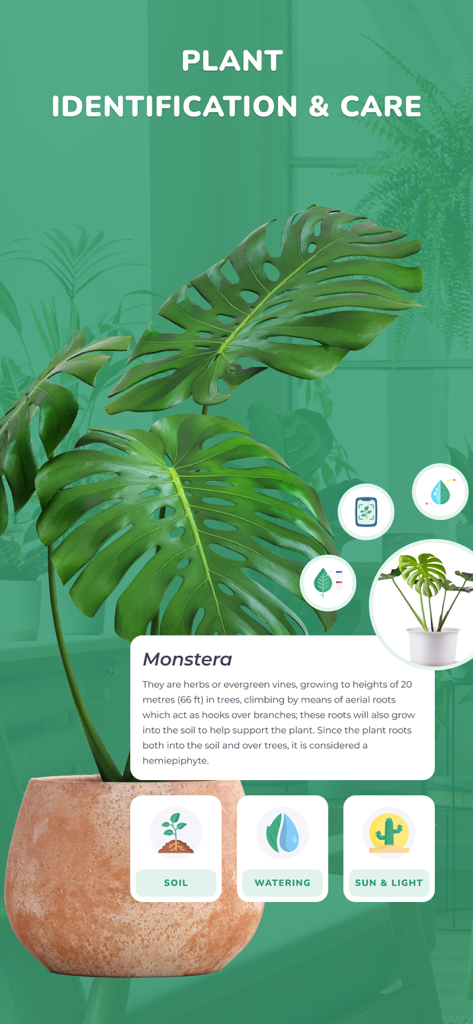 PlantID - Plant identifier++ - Tela de identificação da planta Monstera mostrando instruções de cuidado para rega do solo e luz solar