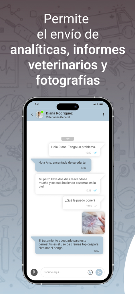 Canitas Vet - Canitas Vet app chat interface showing a consultation with a veterinarian including a photo of a pet's skin condition