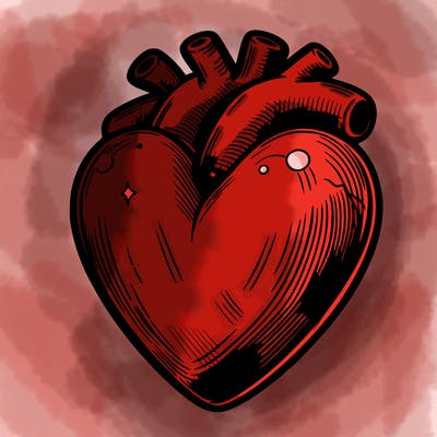 realistic heart