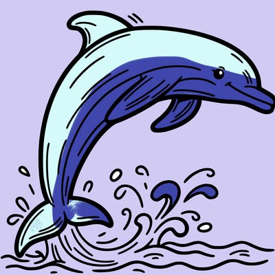 dolphin