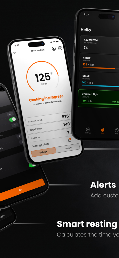 Meat°it 3 Meat Thermometer - Interface de l'application Meatit 3 montrant la progression de la cuisson et le suivi des températures multi-sondes