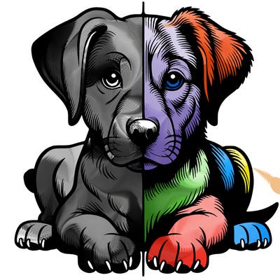 realistic dog split picture