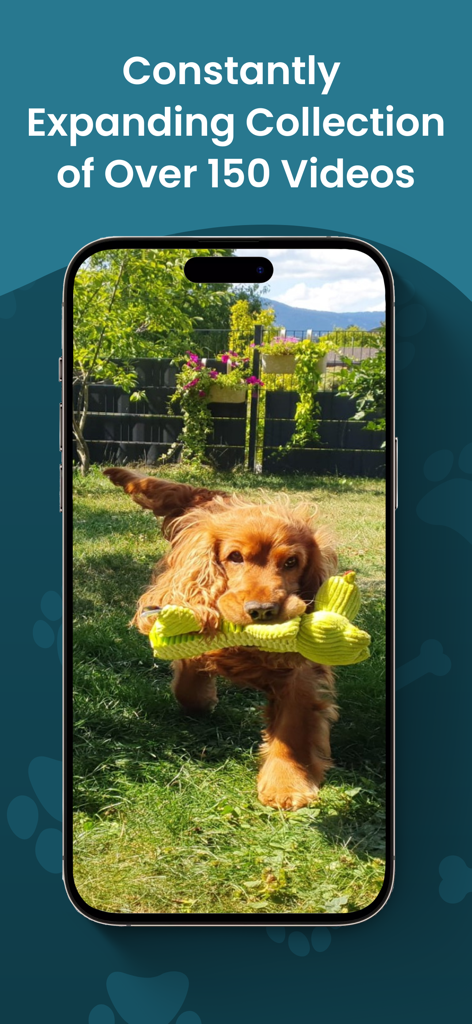 DOGLi - Dog Enrichment & Games - A smartphone showing a dog playing in a yard with a text overlay about a collection of over 150 enrichment videos.