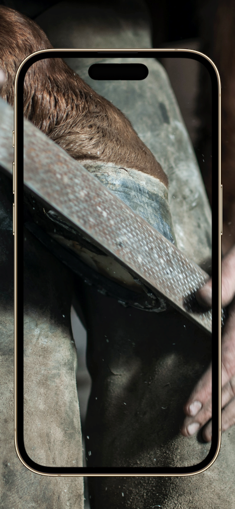 Equestrian App - Close up of a farrier filing a horse hoof for maintenance