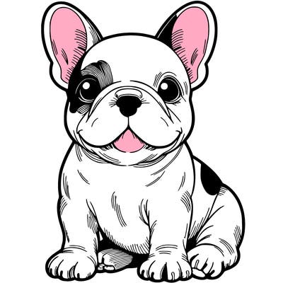 french bulldog