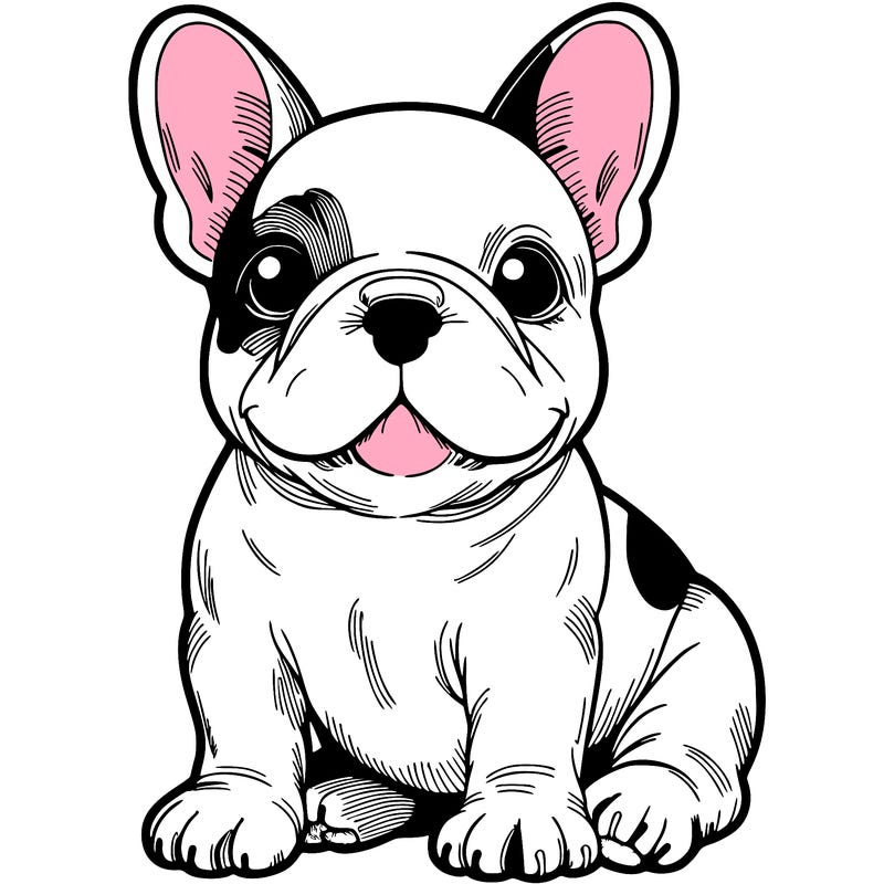 french bulldog