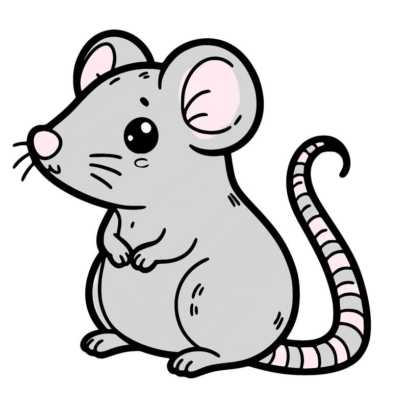 cute rat