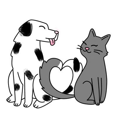 animals_22