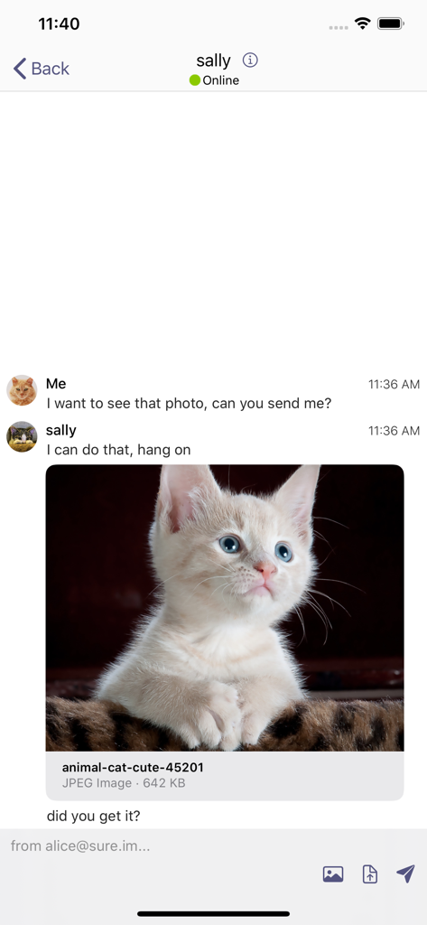 Siskin IM - Siskin IM chat interface showing a private conversation with a shared photo of a kitten