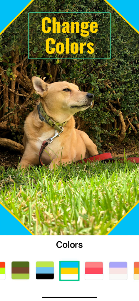 Interface do editor de vídeo Magisto mostrando opções de paleta de cores e uma foto de cachorro.