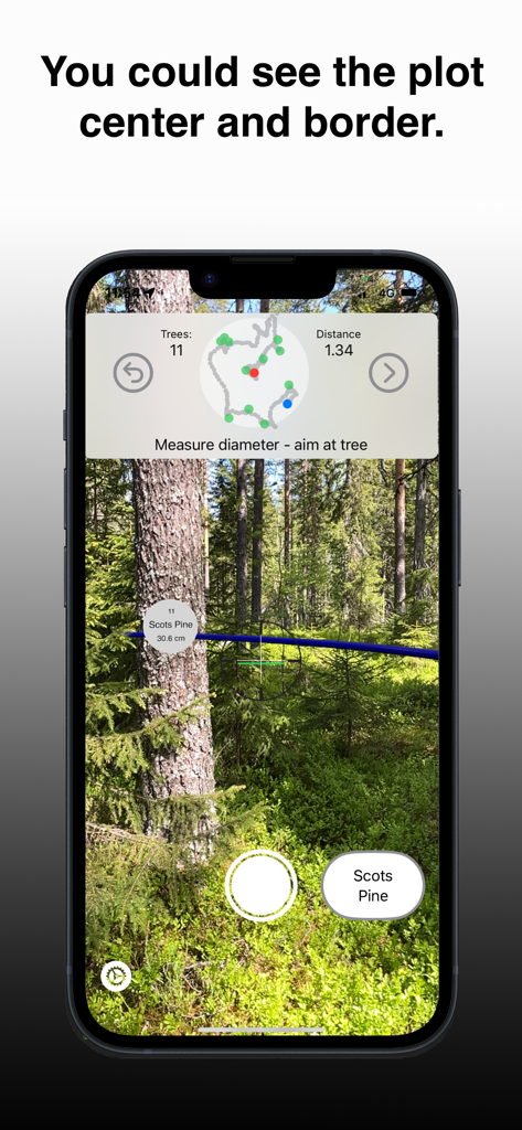 Arboreal Forest app using AR to measure tree diameter and show plot boundaries in a forest.