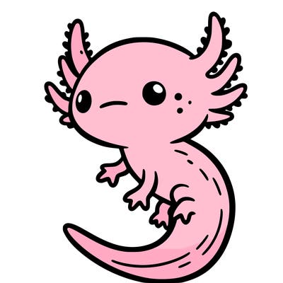 to axolotl